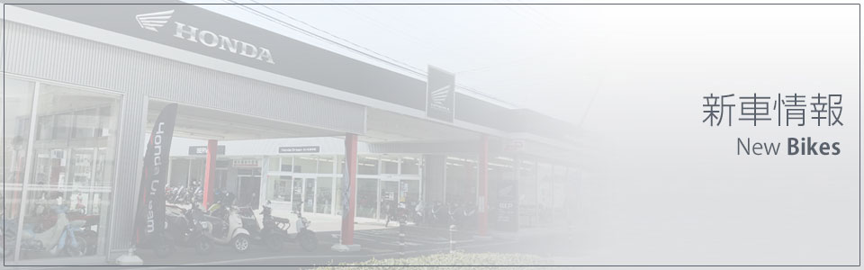 新車情報:最新モデルから定番モデルまでご紹介致します!