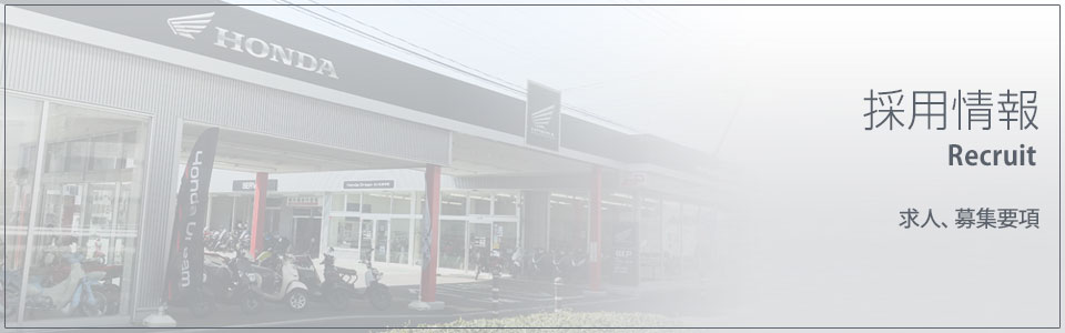 採用情報